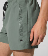 Ikon metallic boardshorts