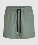 Ikon metallic boardshorts
